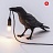 Настольная лампа Bird Lamp Black designed by Marcantonio Raimondi Malerba Белый B фото 4