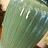 Настольная керамическая лампа Water Lily фото 4